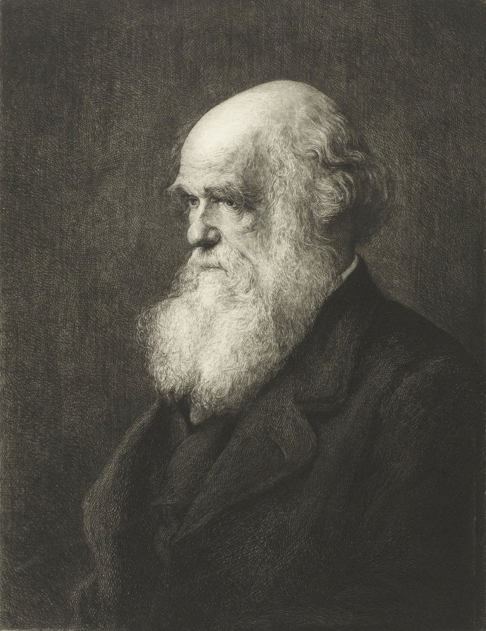 Charles Robert Darwin door Walter William (after) Ouless