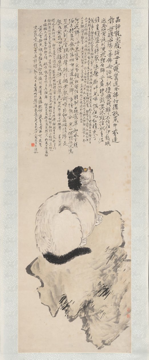 Kat door Wang Li