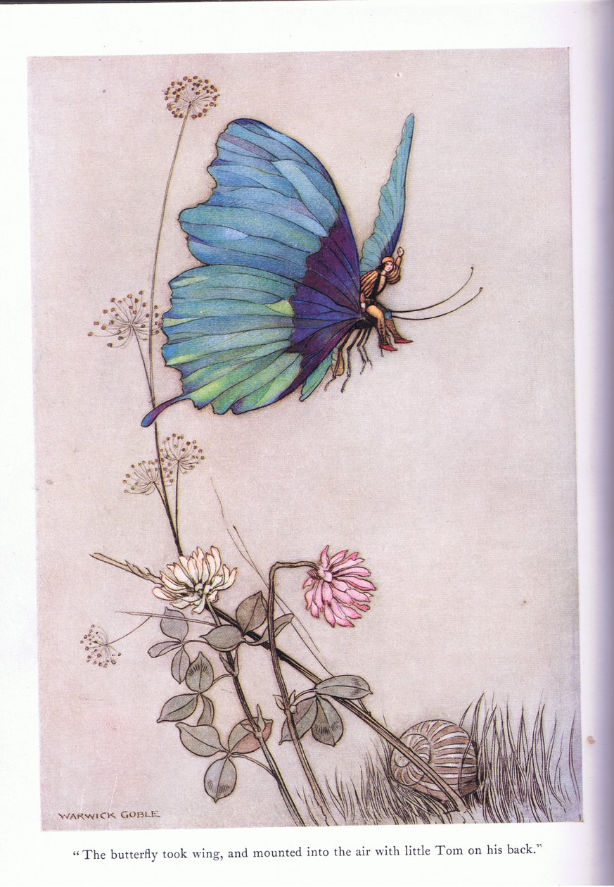 De vlinder vloog weg door Warwick Goble