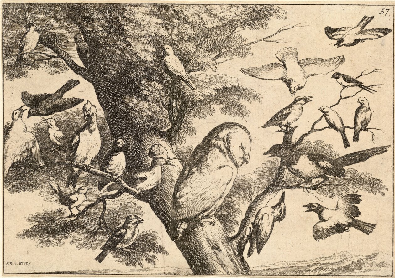 Vogels die een uil lastigvallen door Wenceslaus Hollar