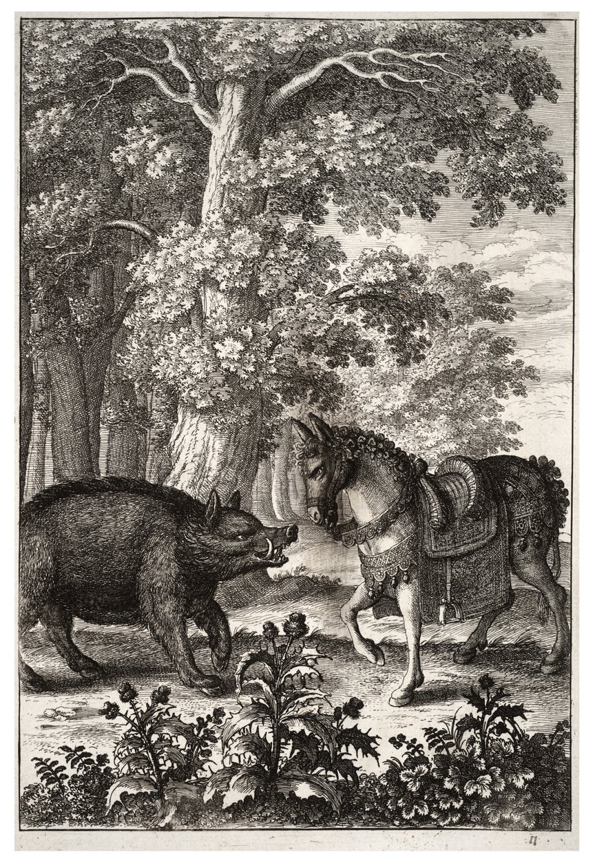 Everzwijn en Ezel door Wenceslaus Hollar