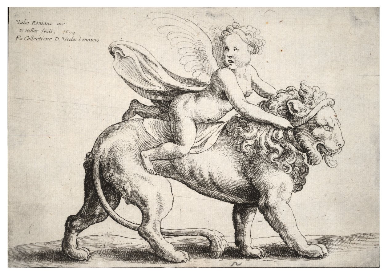 Cupido op een leeuw, naar Giulio Romano door Wenceslaus Hollar
