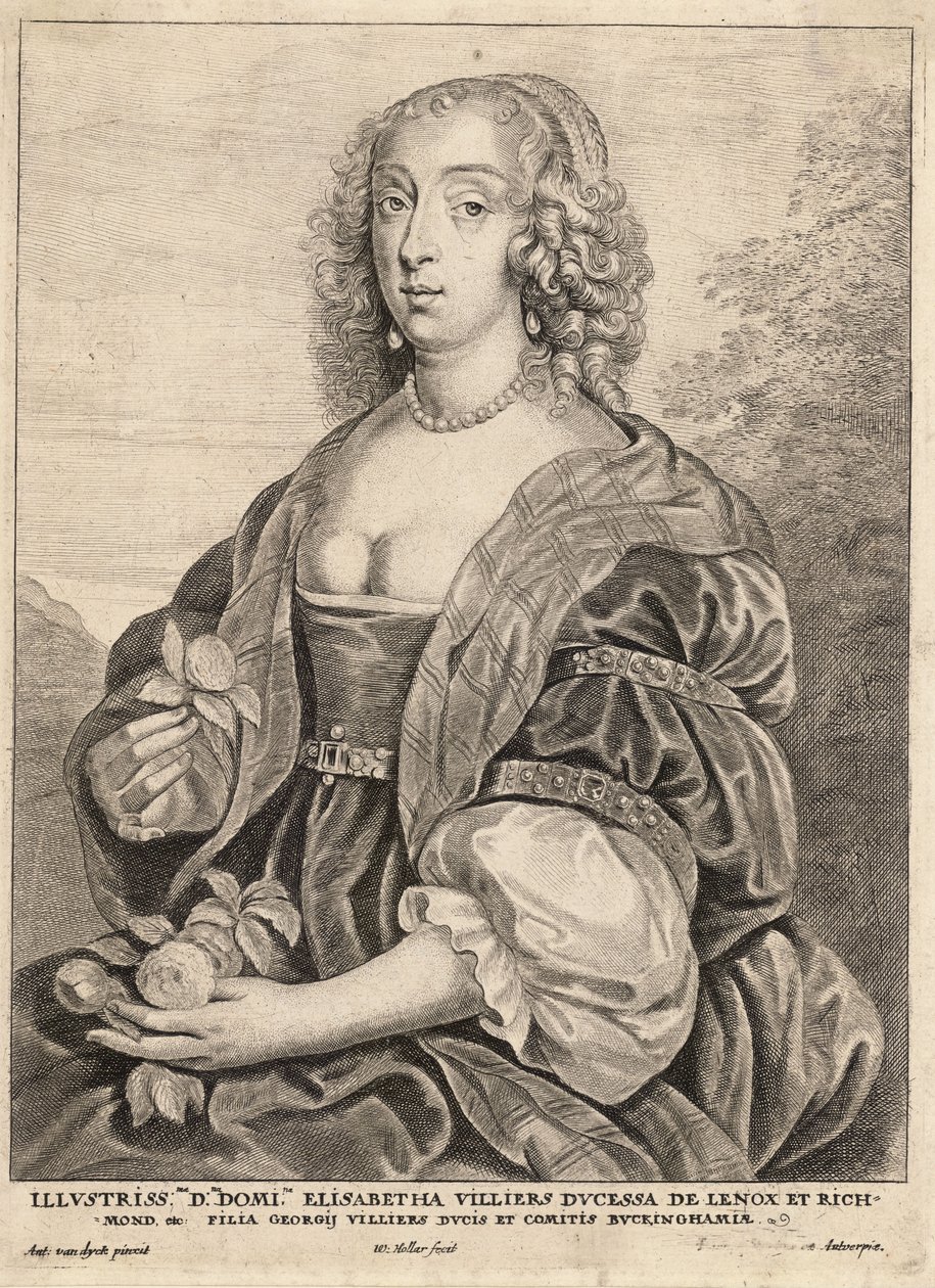 Hertogin van Lennox, naar van Dyck. Staat 5 door Wenceslaus Hollar
