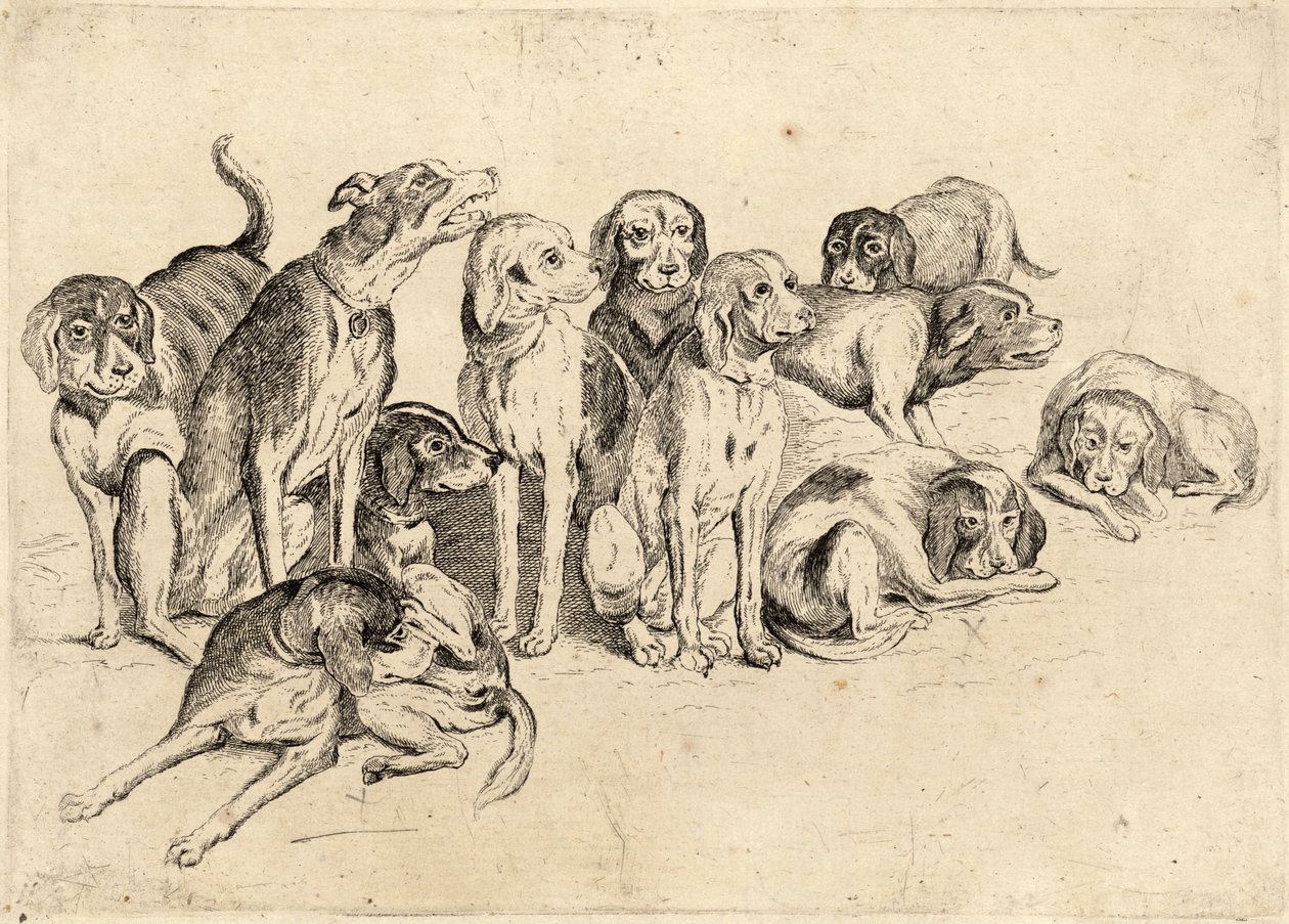 Elf honden door Wenceslaus Hollar