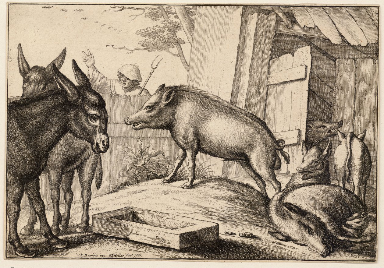Varkens en ezels door Wenceslaus Hollar