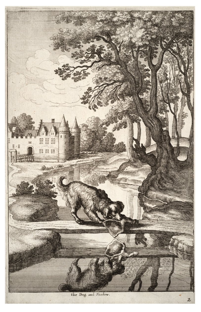 De hond en zijn spiegelbeeld door Wenceslaus Hollar
