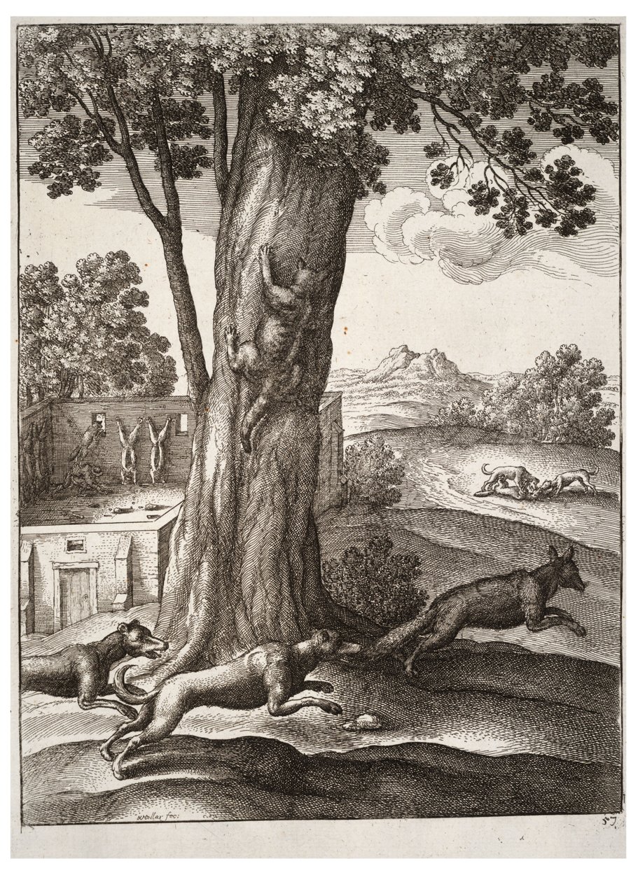De vos en de kat door Wenceslaus Hollar