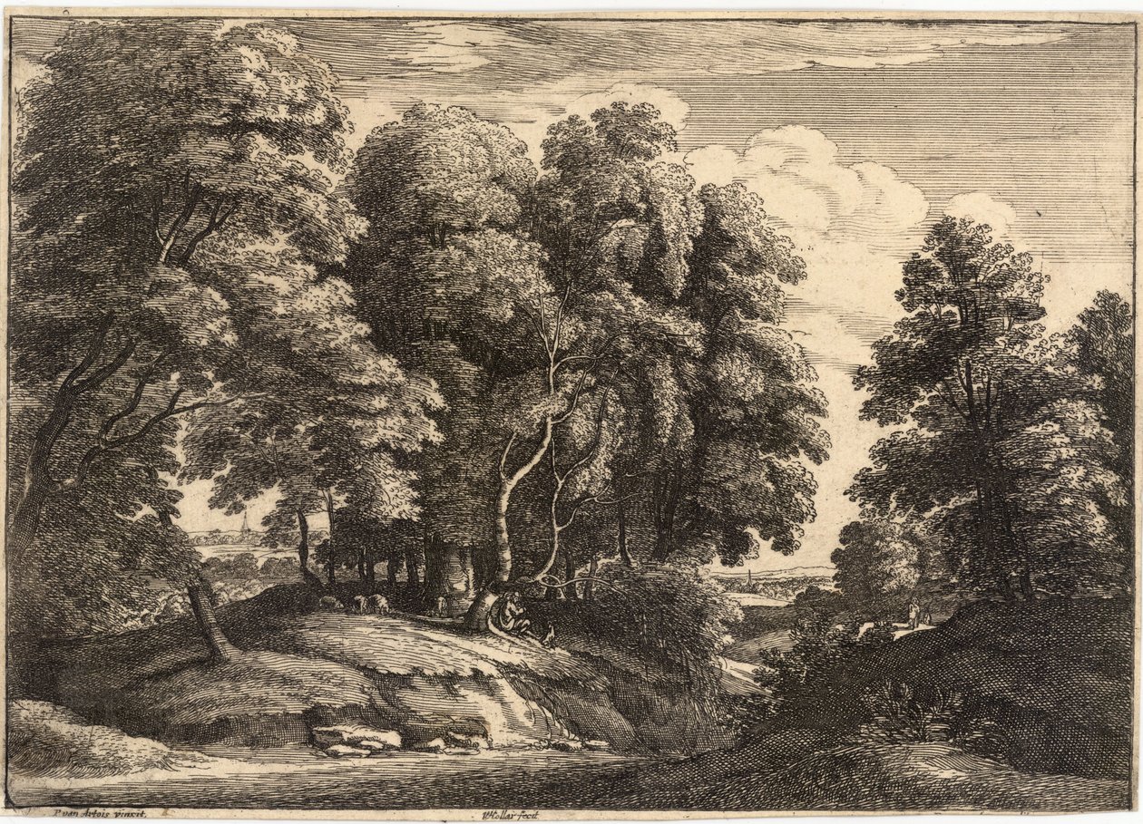De herder in het bos door Wenceslaus Hollar