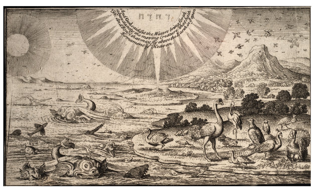 Schepping van vogels en vissen door Wenceslaus Hollar