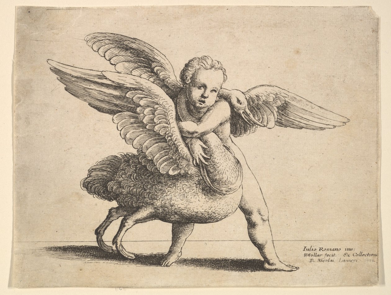 Cupido en de Zwaan, 1652 door Wenceslaus Hollar