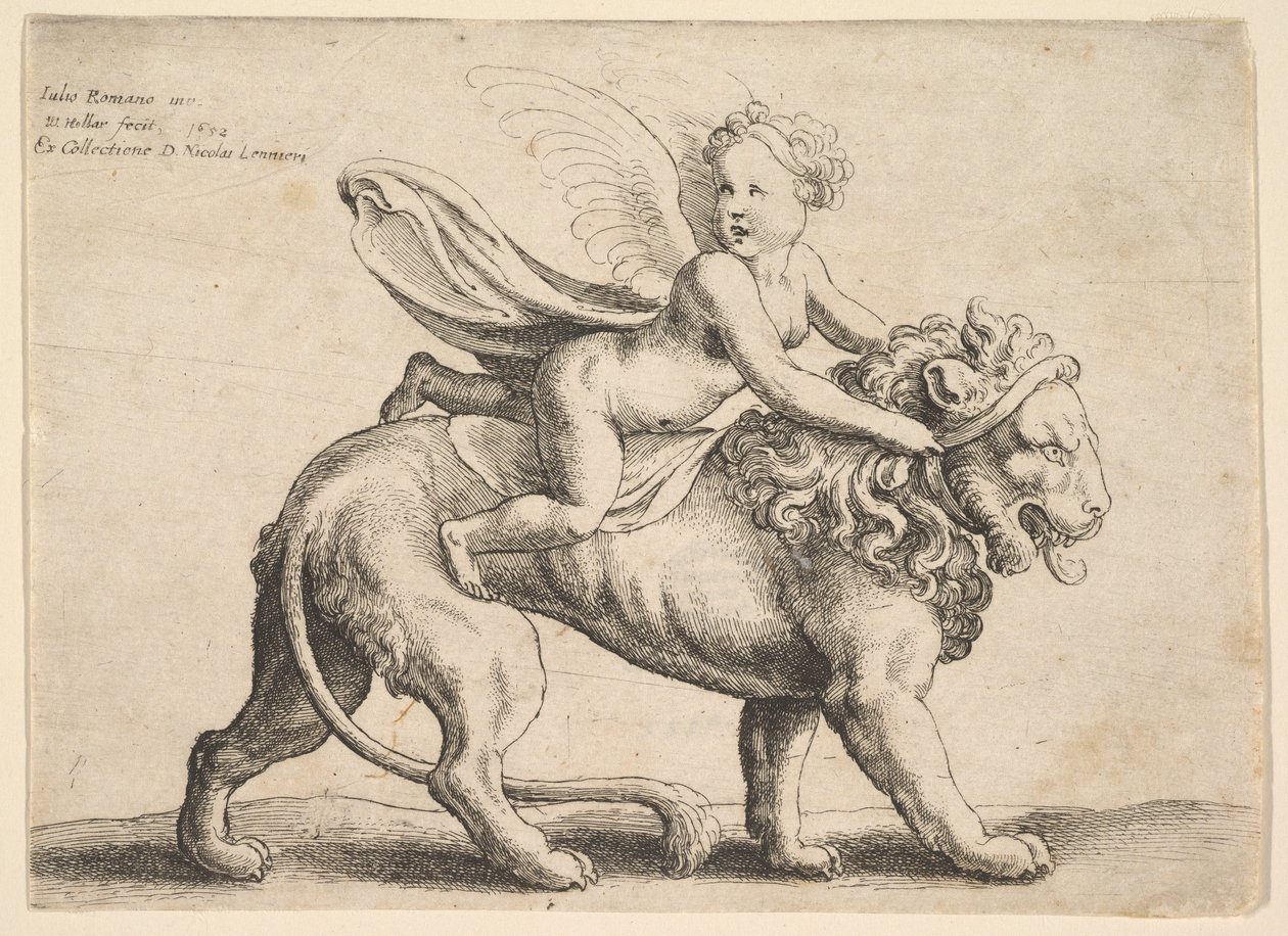 Cupido op een leeuw, 1652 door Wenceslaus Hollar