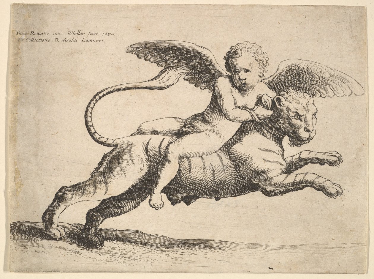 Cupido op een tijger, 1652 door Wenceslaus Hollar