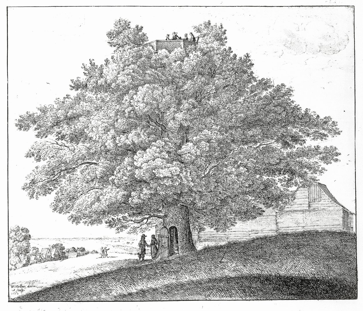 Holle Boom in Hampstead, 1663 door Wenceslaus Hollar