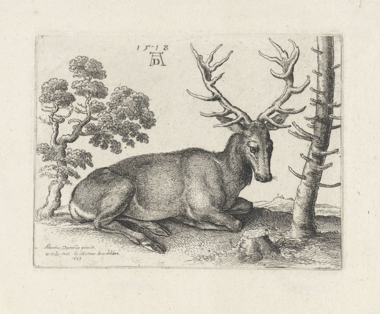 Liggend hert, naar rechts door Wenceslaus Hollar