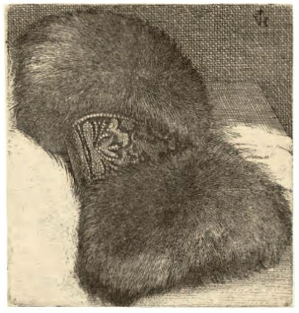 Mof met een Brokaatband door Wenceslaus Hollar