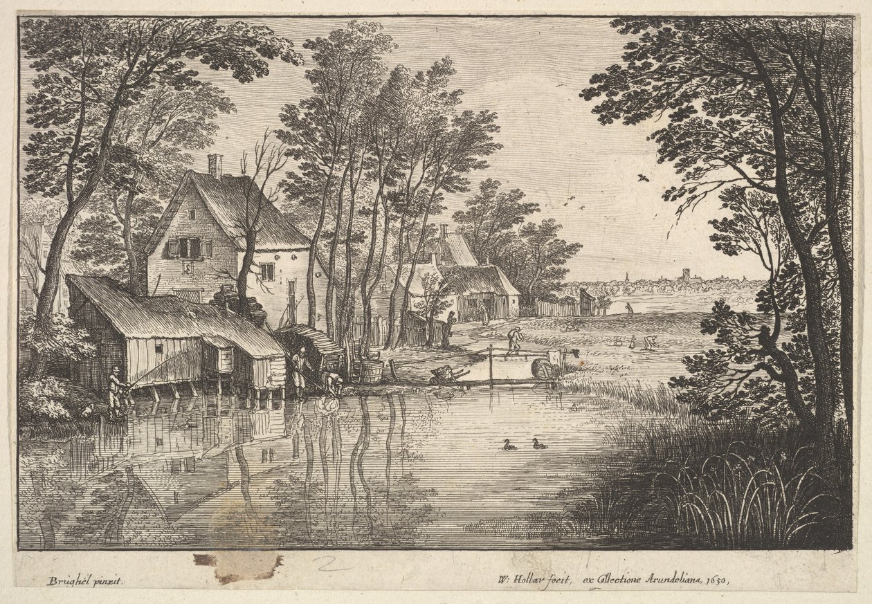 De Visser door Wenceslaus Hollar