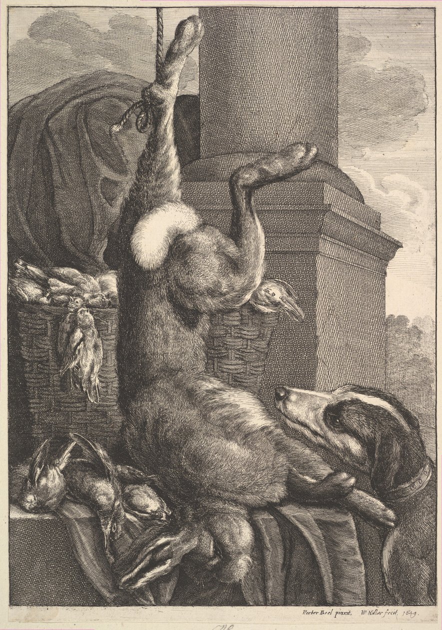 De dode haas door Wenceslaus Hollar