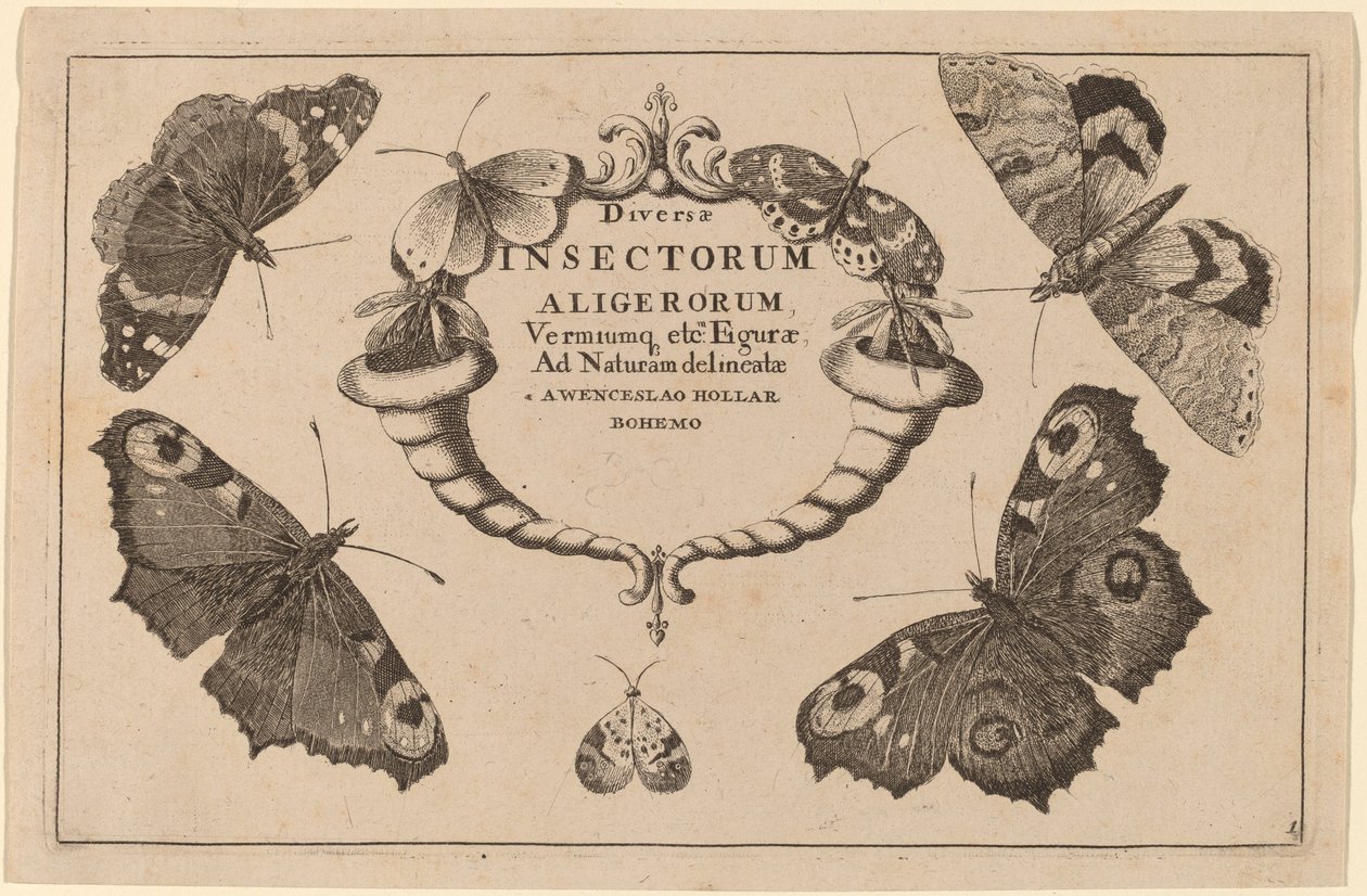 Titelpagina door Wenceslaus Hollar