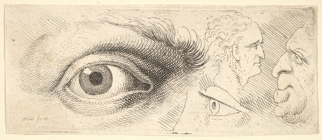 Twee ogen en twee hoofden door Wenceslaus Hollar