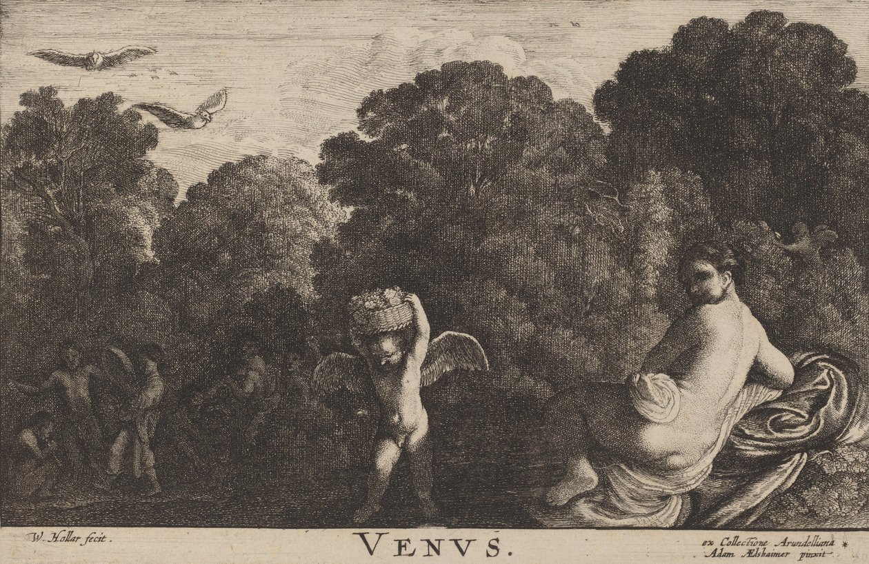 Venus door Wenceslaus Hollar
