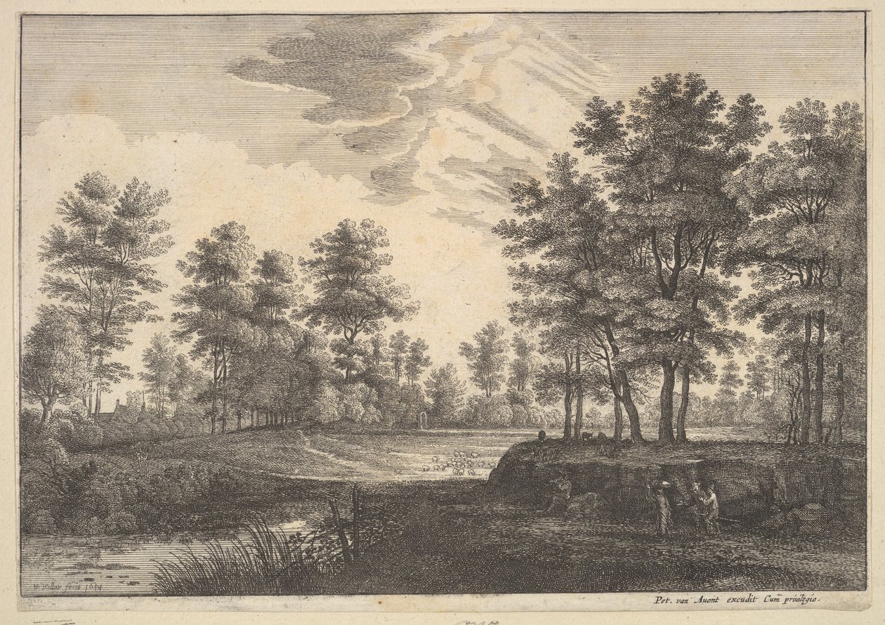 Boslandschap door Wenceslaus Hollar