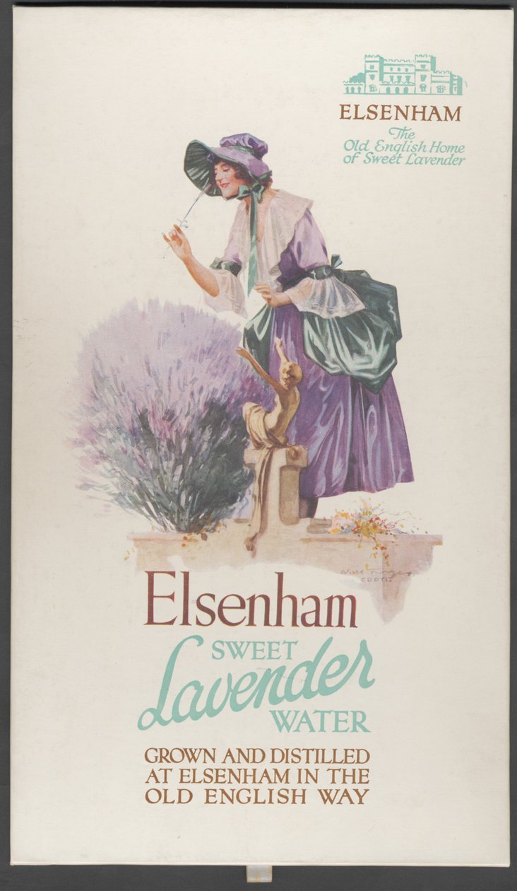 Elsenham Lavendel, 1920s door Wilfred Fryer