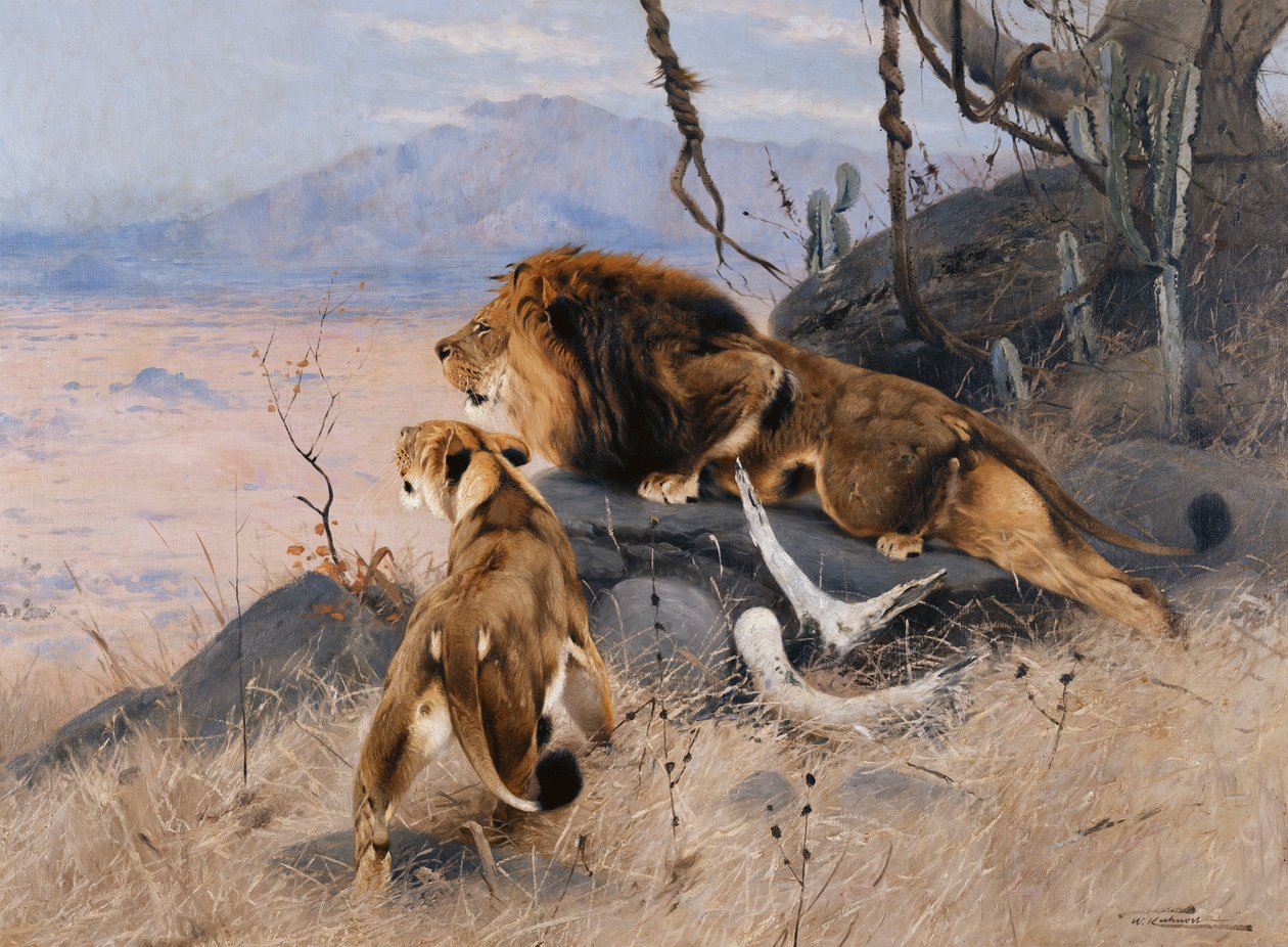 Leeuw en leeuwin; Lowe und Lowin door Wilhelm Kuhnert