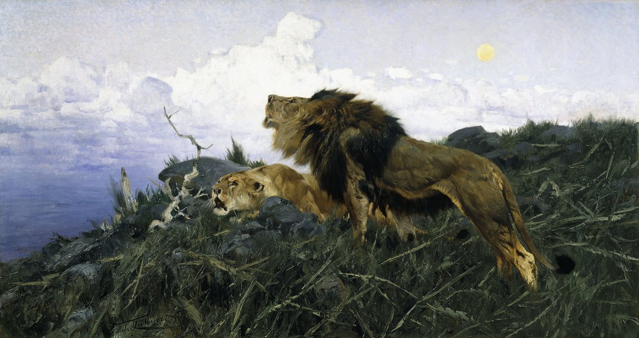 Leeuwen bij schemering door Wilhelm Kuhnert