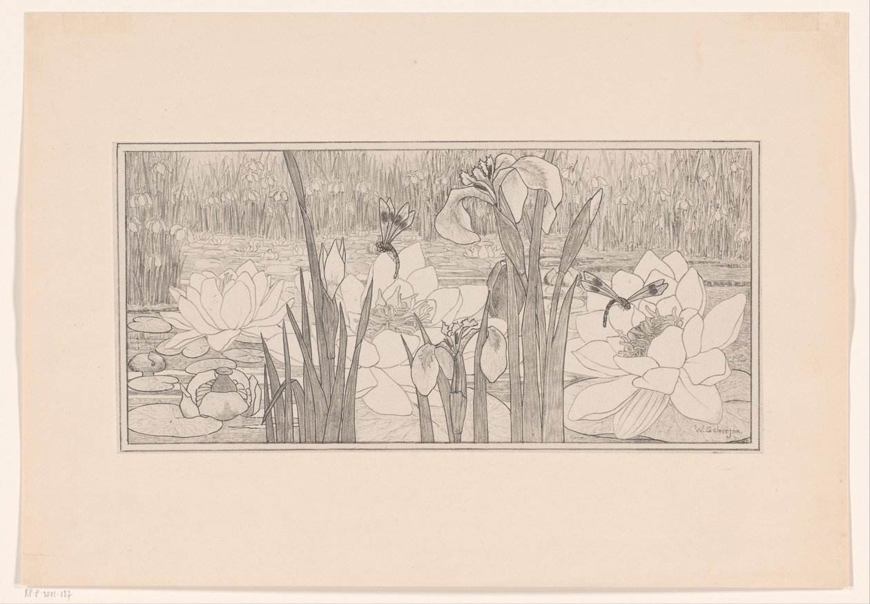 Waterlelies door Willem C. Scherjon