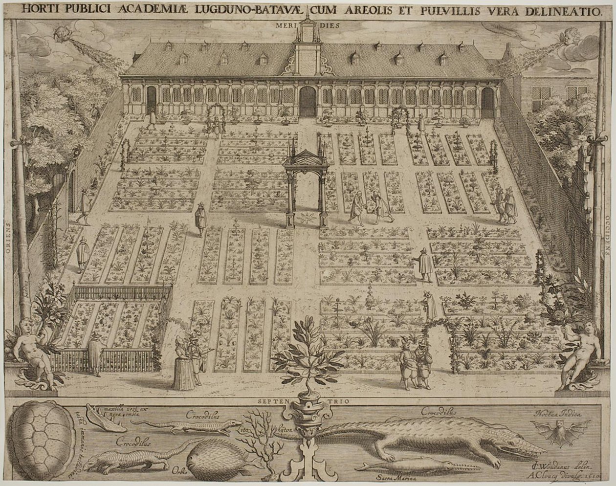 De Botanische Tuin in Leiden door Willem Isaaksz Swanenburgh