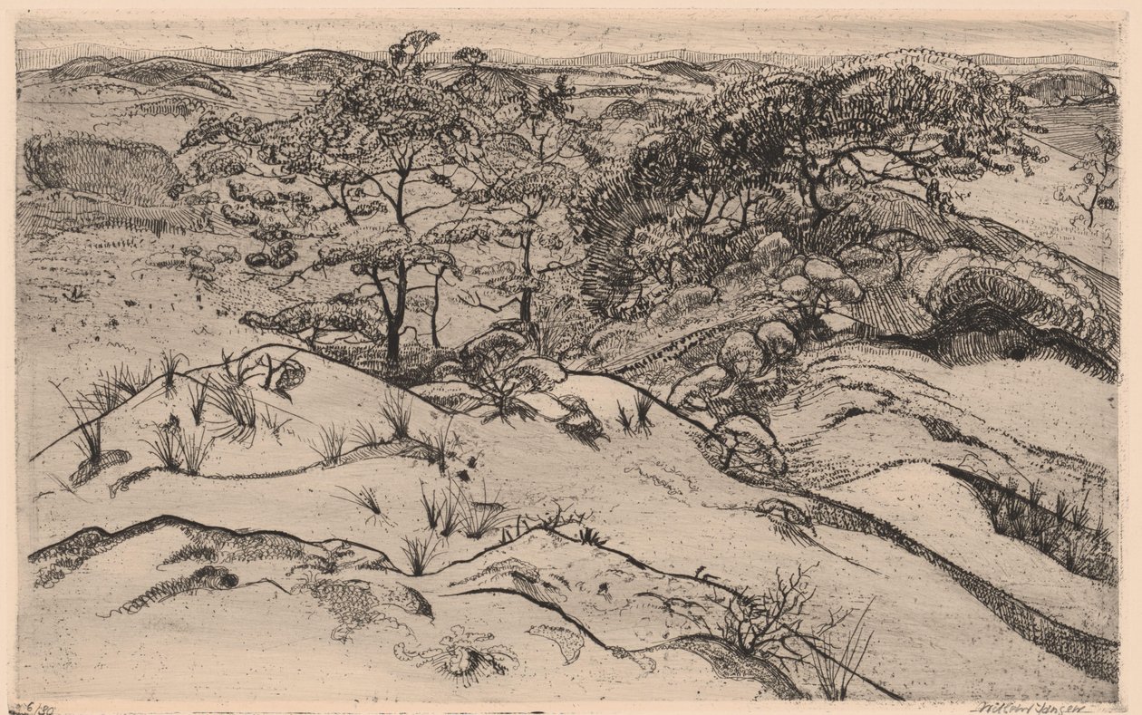 Duinlandschap door Willem Jansen (graveur) (signed by artist)