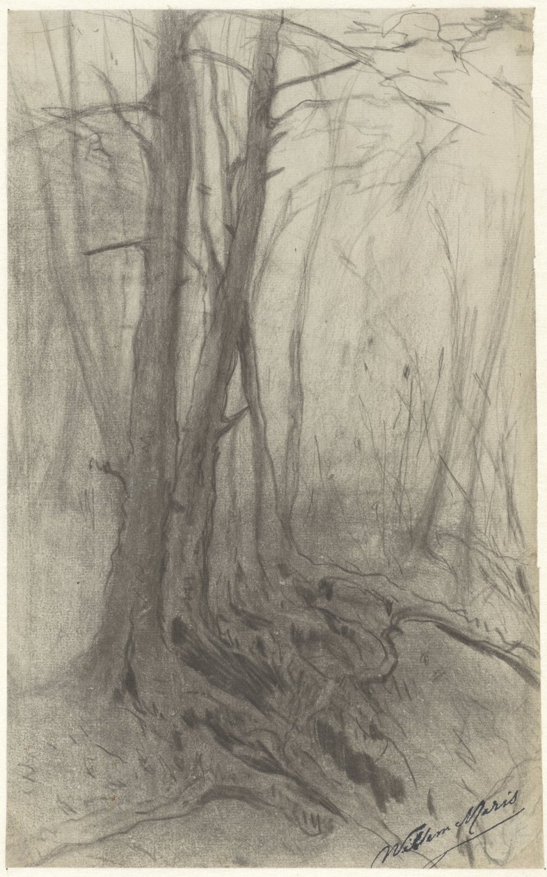 Bomen in een bos door Willem Maris