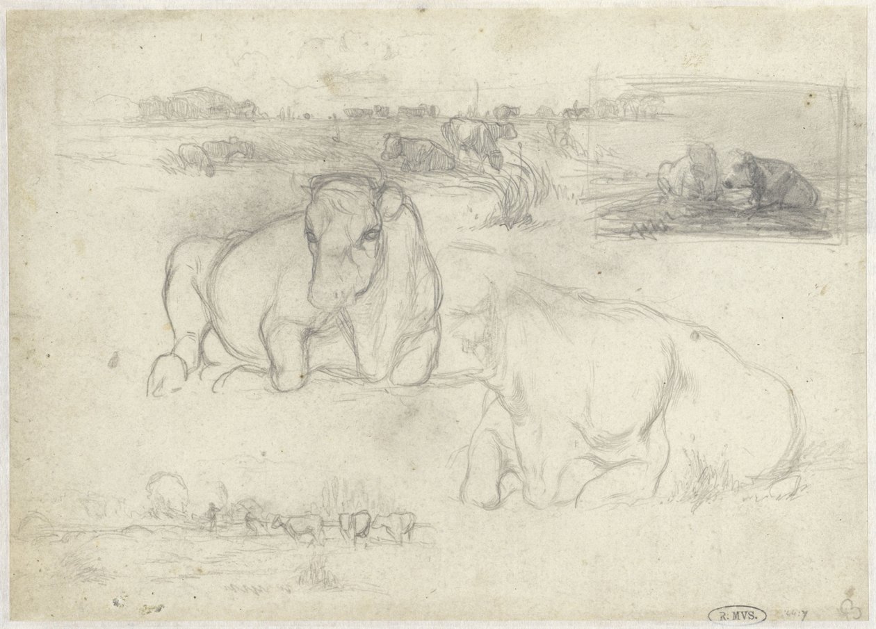 Schetsen van koeien door Willem Maris