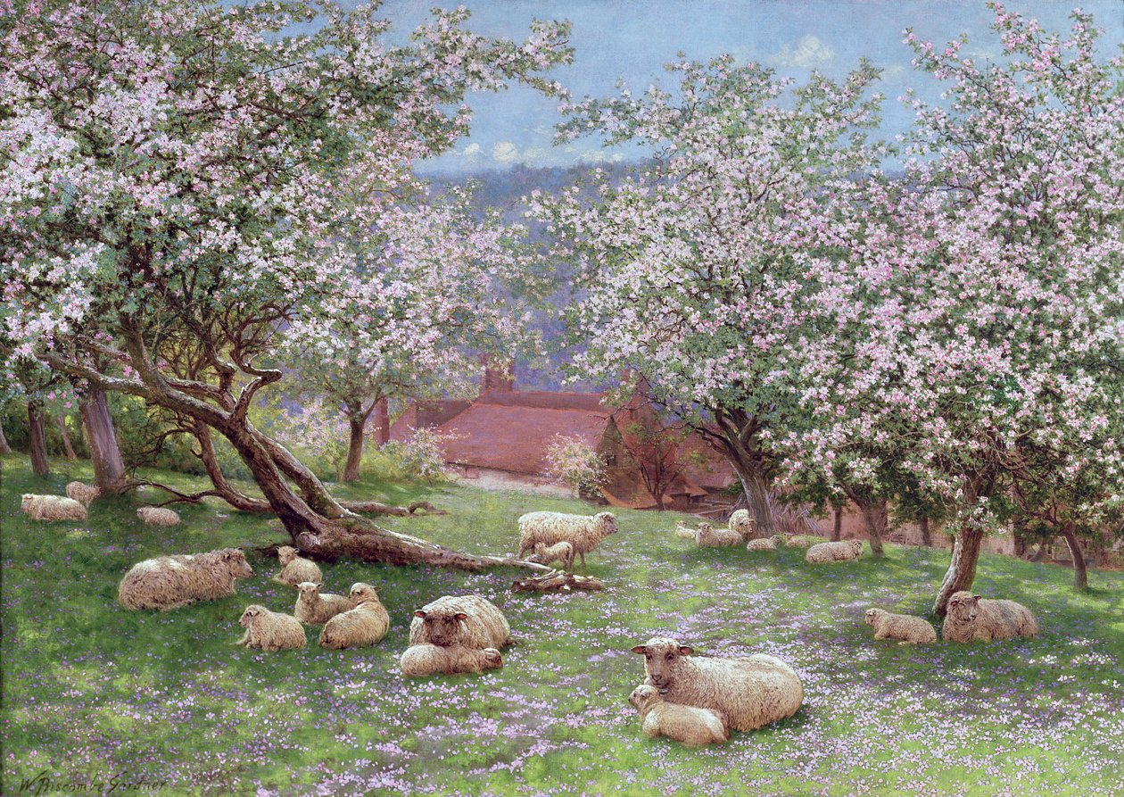 Appelbloesem door William Biscombe Gardner