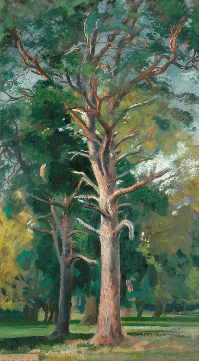 De grove den door William Bruce Ellis Ranken