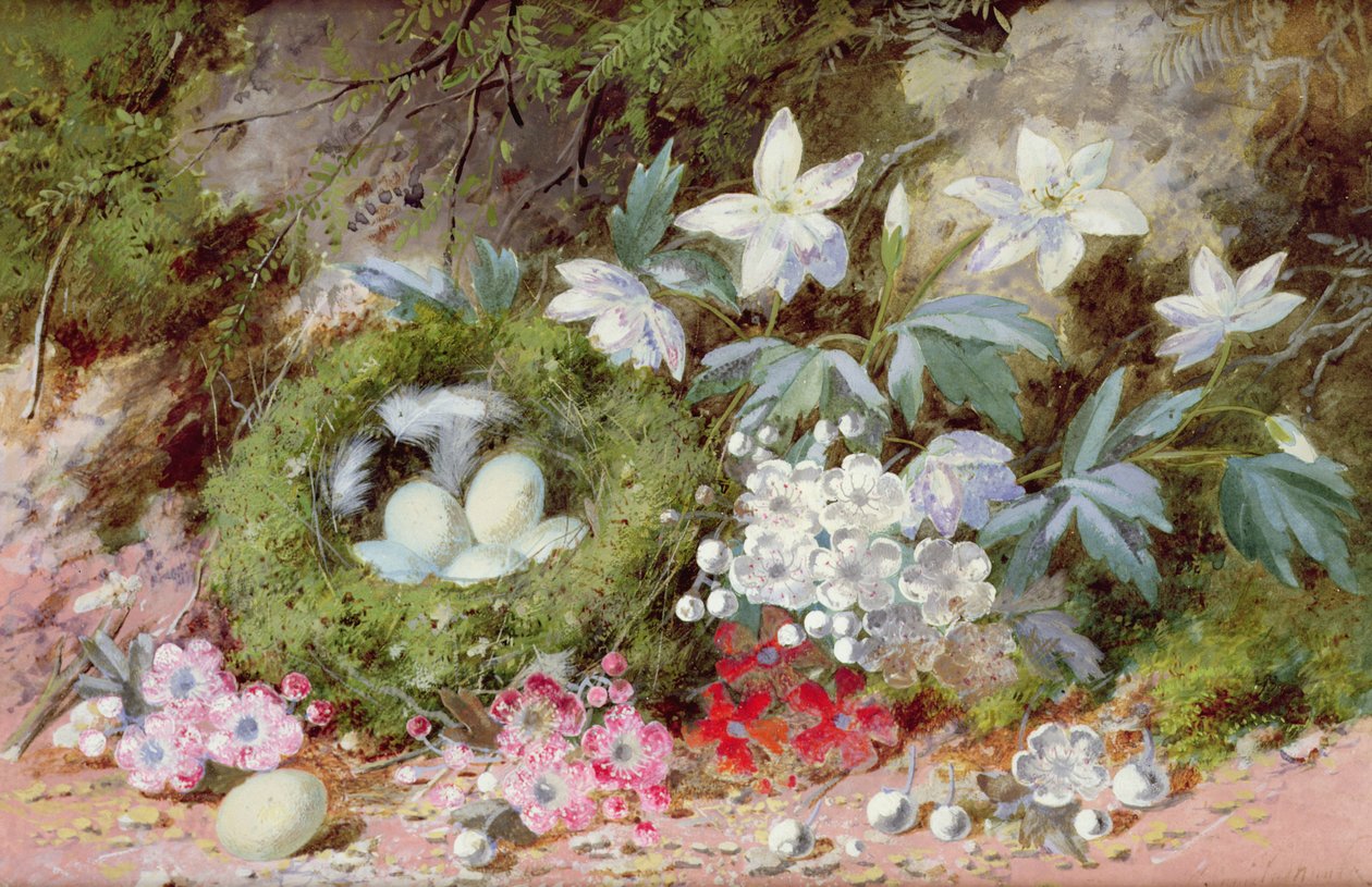 Stilleven met vogelnest door William Cruikshank