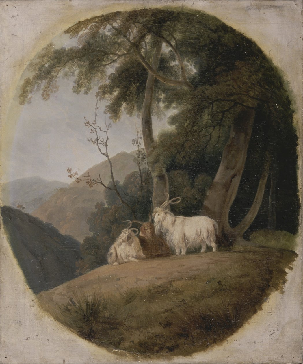 Kasjmiergeiten, c.1780-1820 door William Daniell