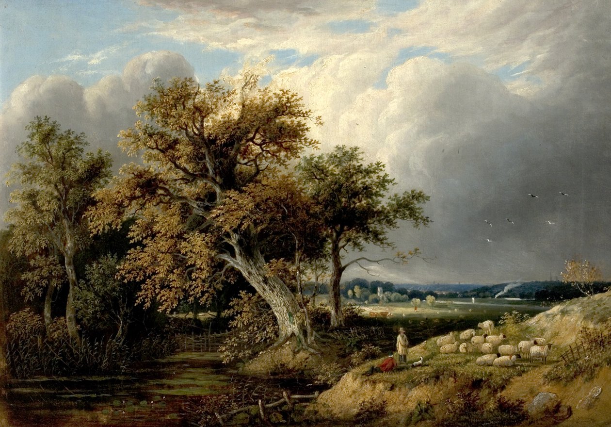 Landschap met bomen en schapen, 19e eeuw door William Henry Crome