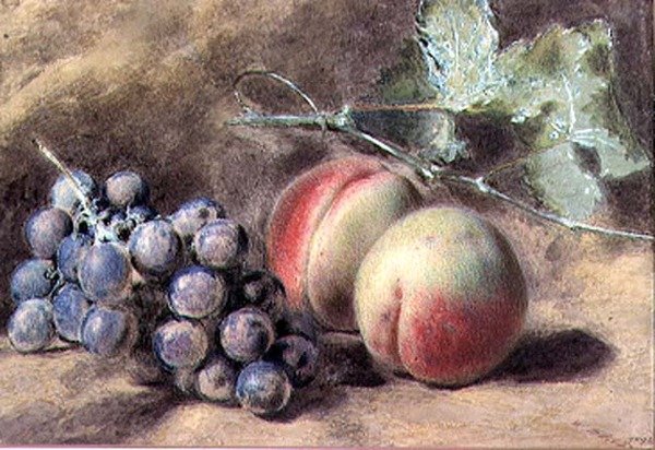 Druiven en perziken door William Henry Hunt
