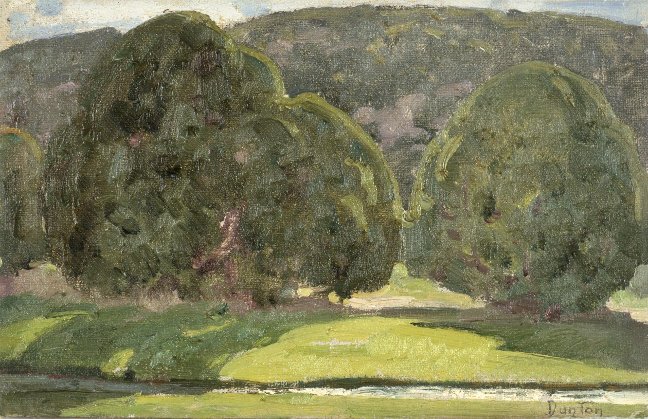 Zonlicht en Ceders, ca. 1933 door William Herbert Buck Dunton