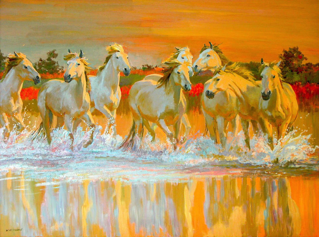 Camargue door William Ireland