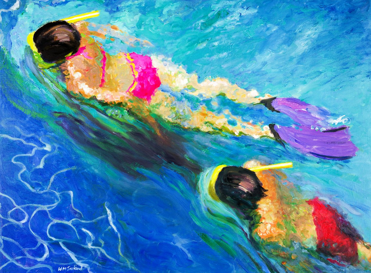 Achtervolging, 2005 door William Ireland