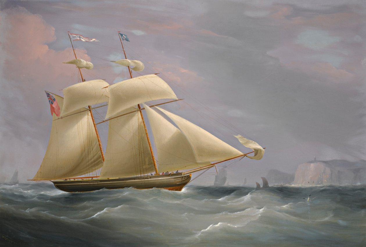 De schoener 