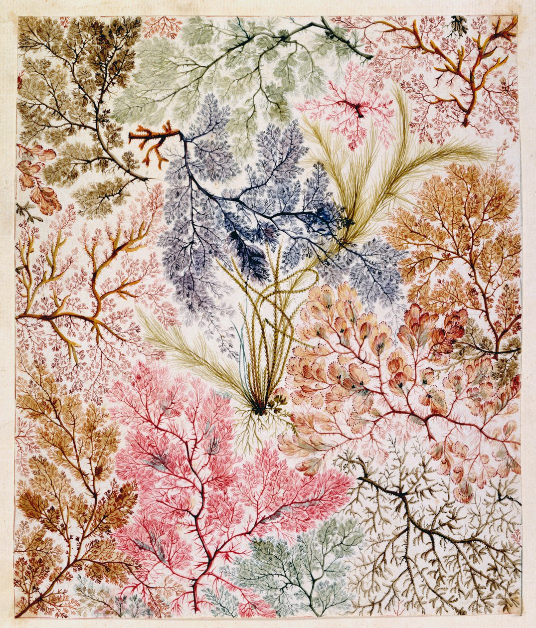 Textielontwerp, c.1788-92 door William Kilburn