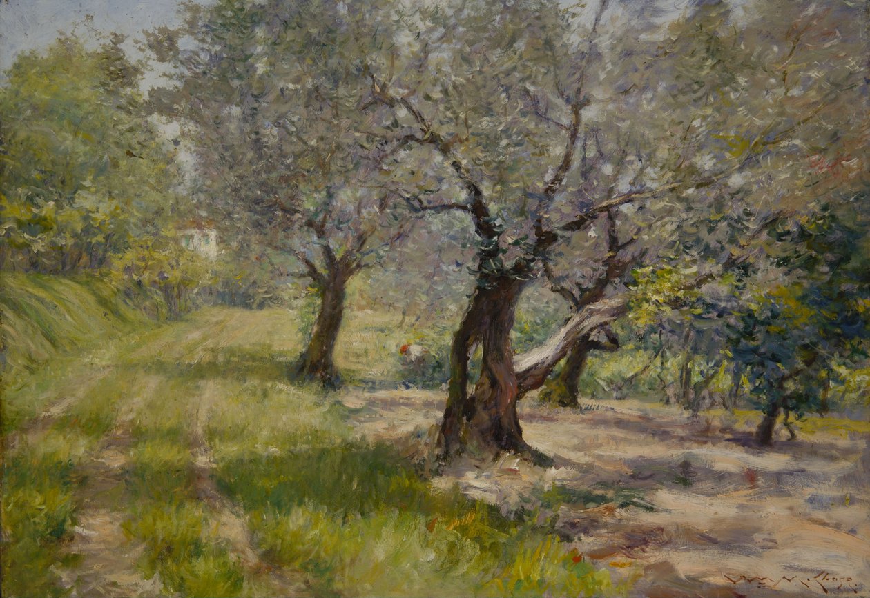 De Olijfboomgaard door William Merritt Chase