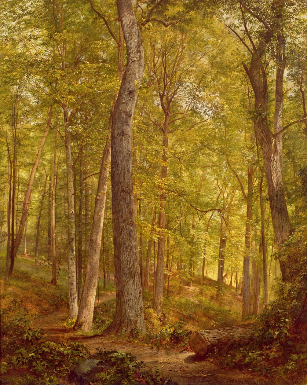 Juni Bossen, Pennsylvania, 1864 door William Trost Richards