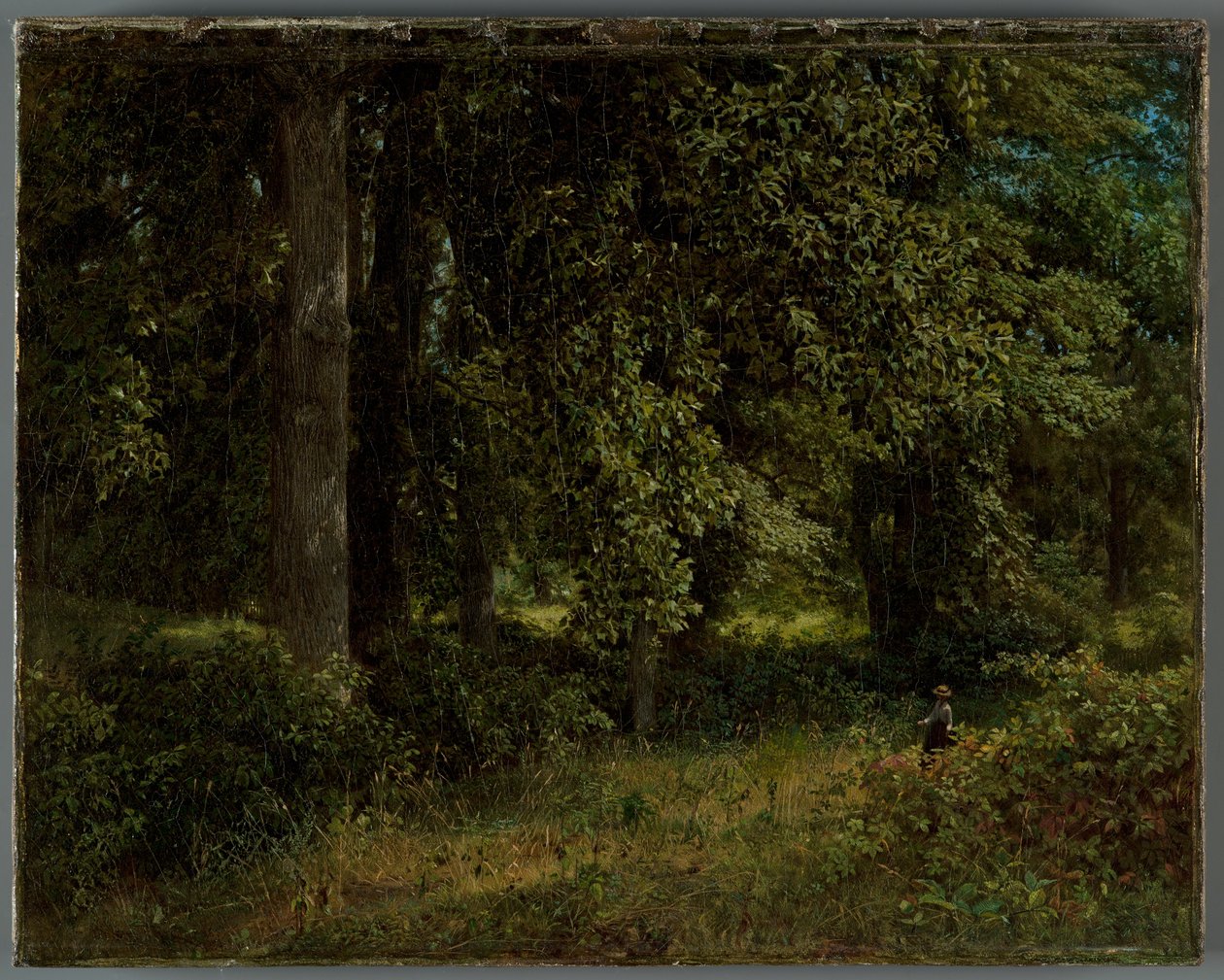 Tulpenbomen door William Trost Richards