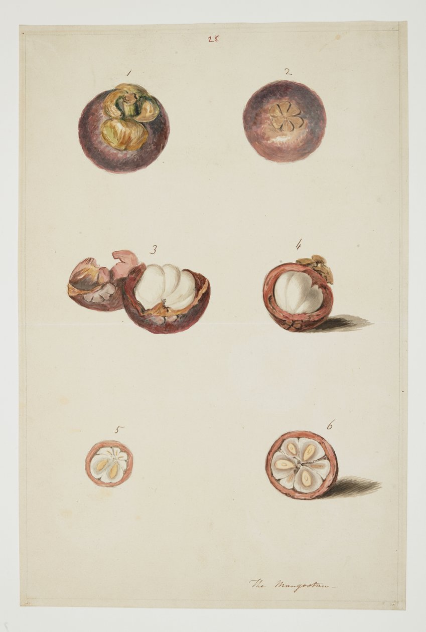 WD 961 f.25 door William Alexander