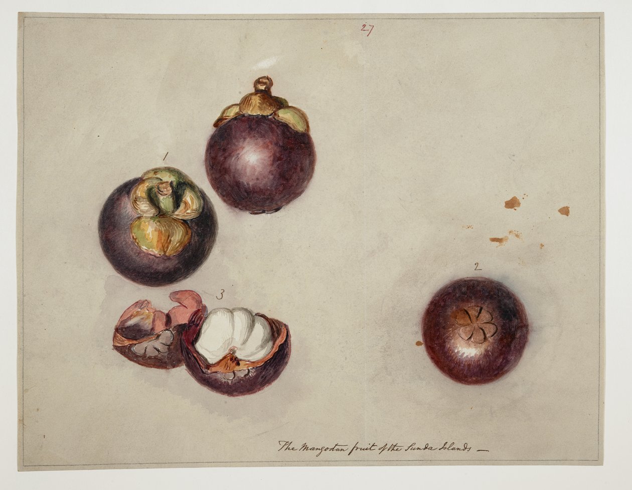 WD 961 f.27 door William Alexander
