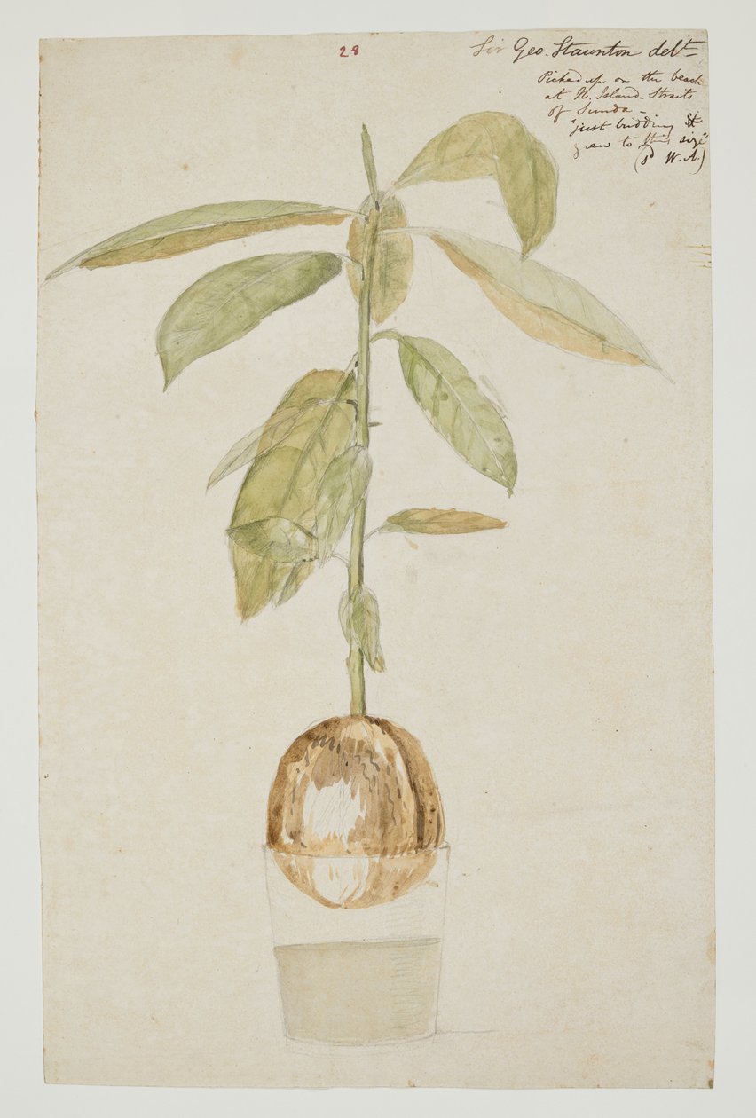 WD 961 f.28 door William Alexander